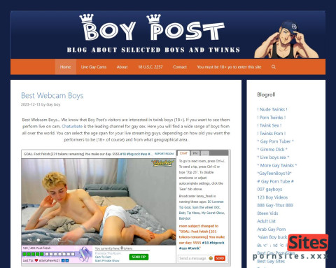Blogs About Porn